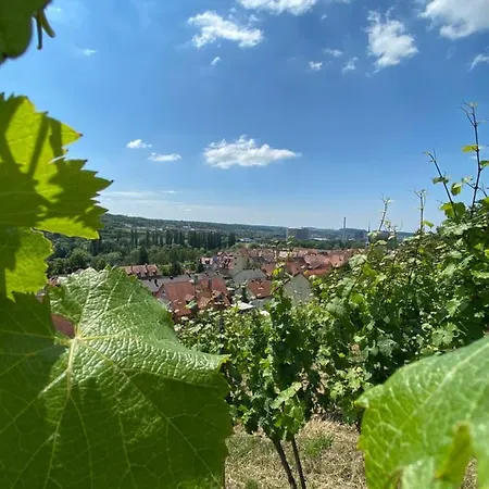 Wohlsein Apartment *